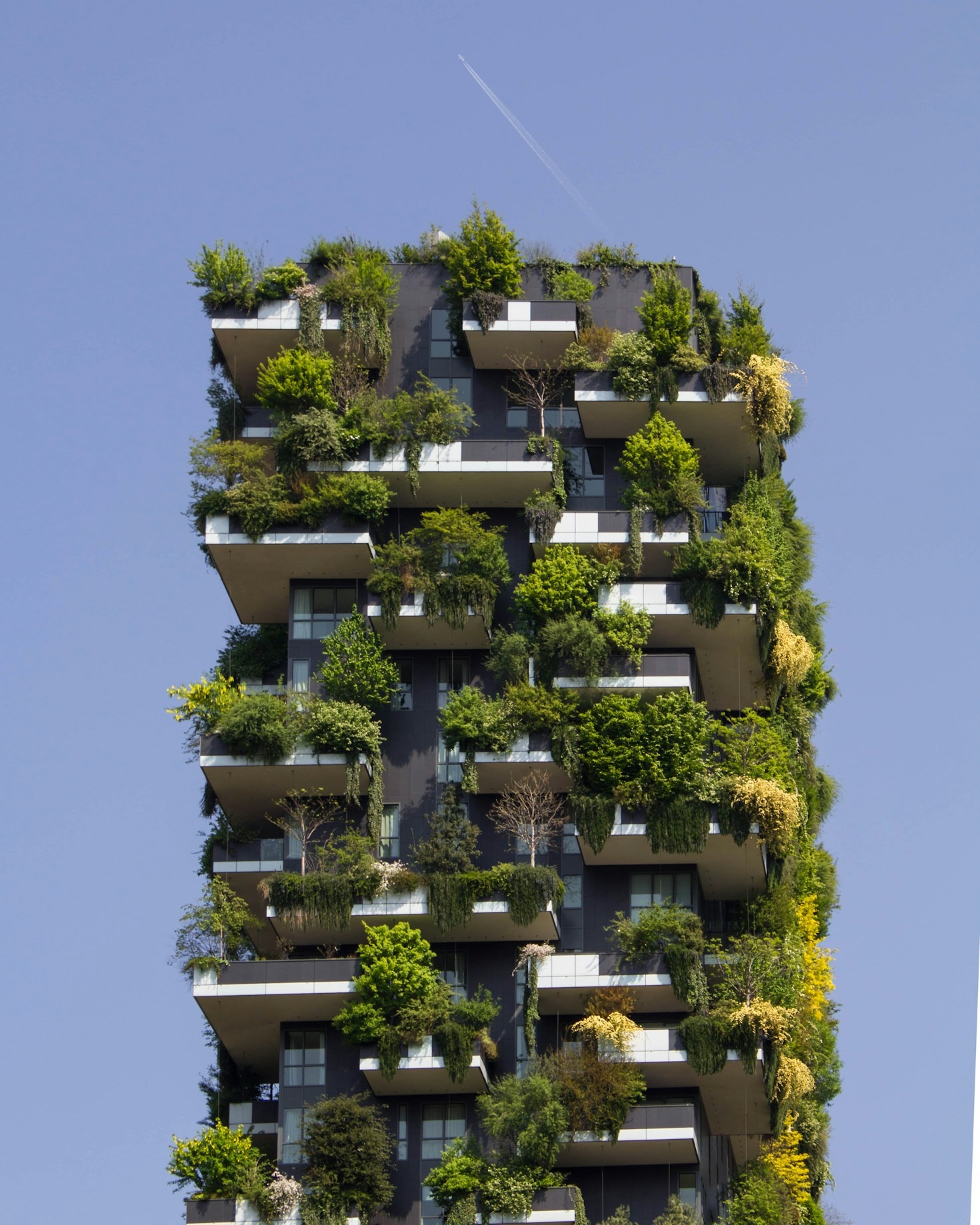 How SMEs Can Start Their Sustainability Journey