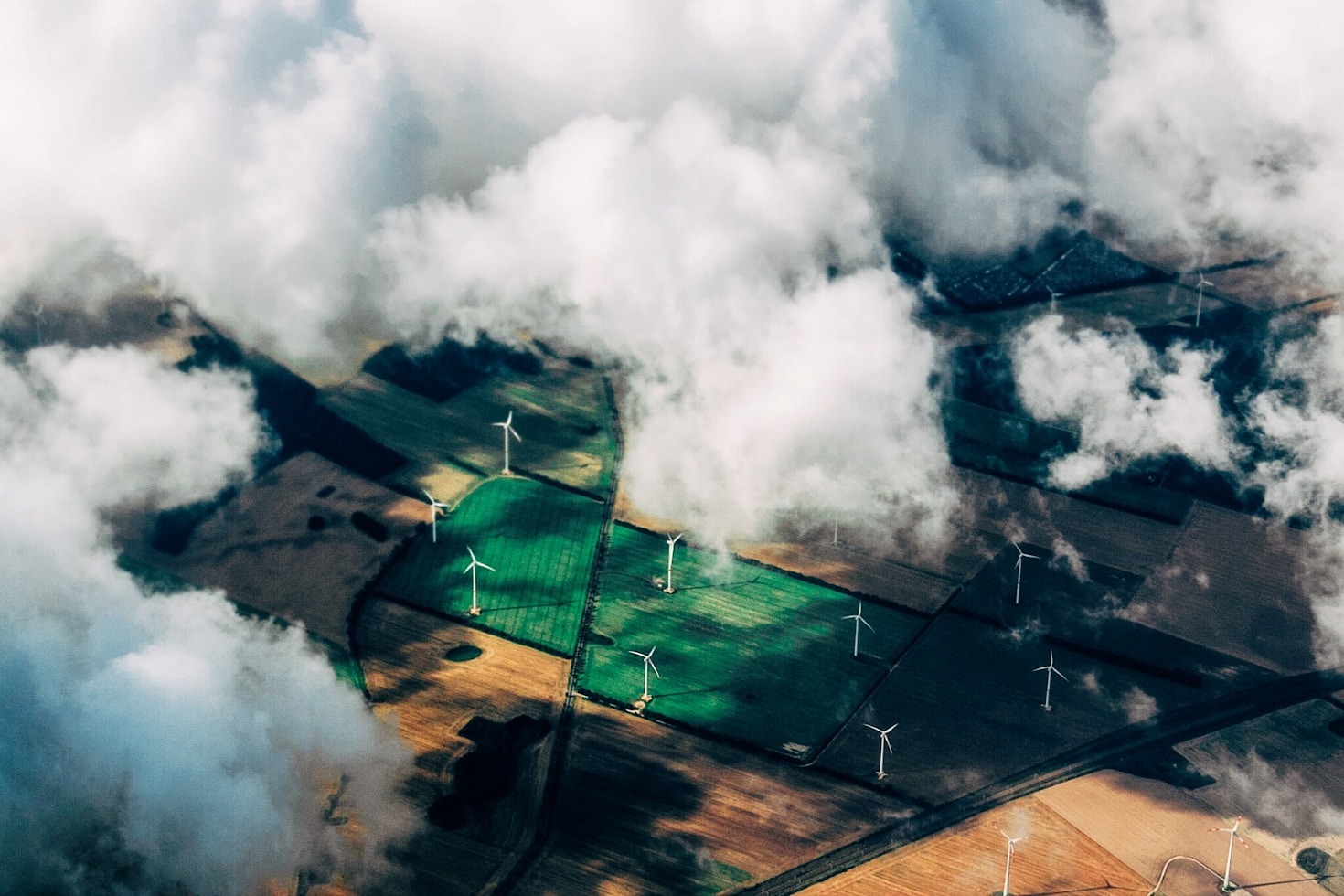 Top 5 Benefits of Sustainability Training for Organizations