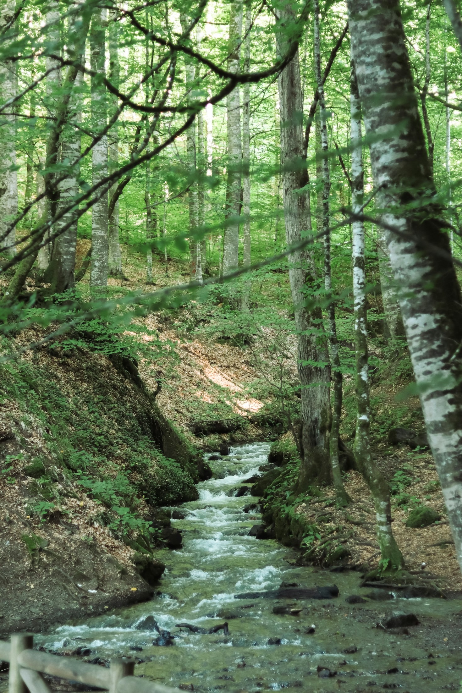 Innovative Workshop Ideas for Green Practices