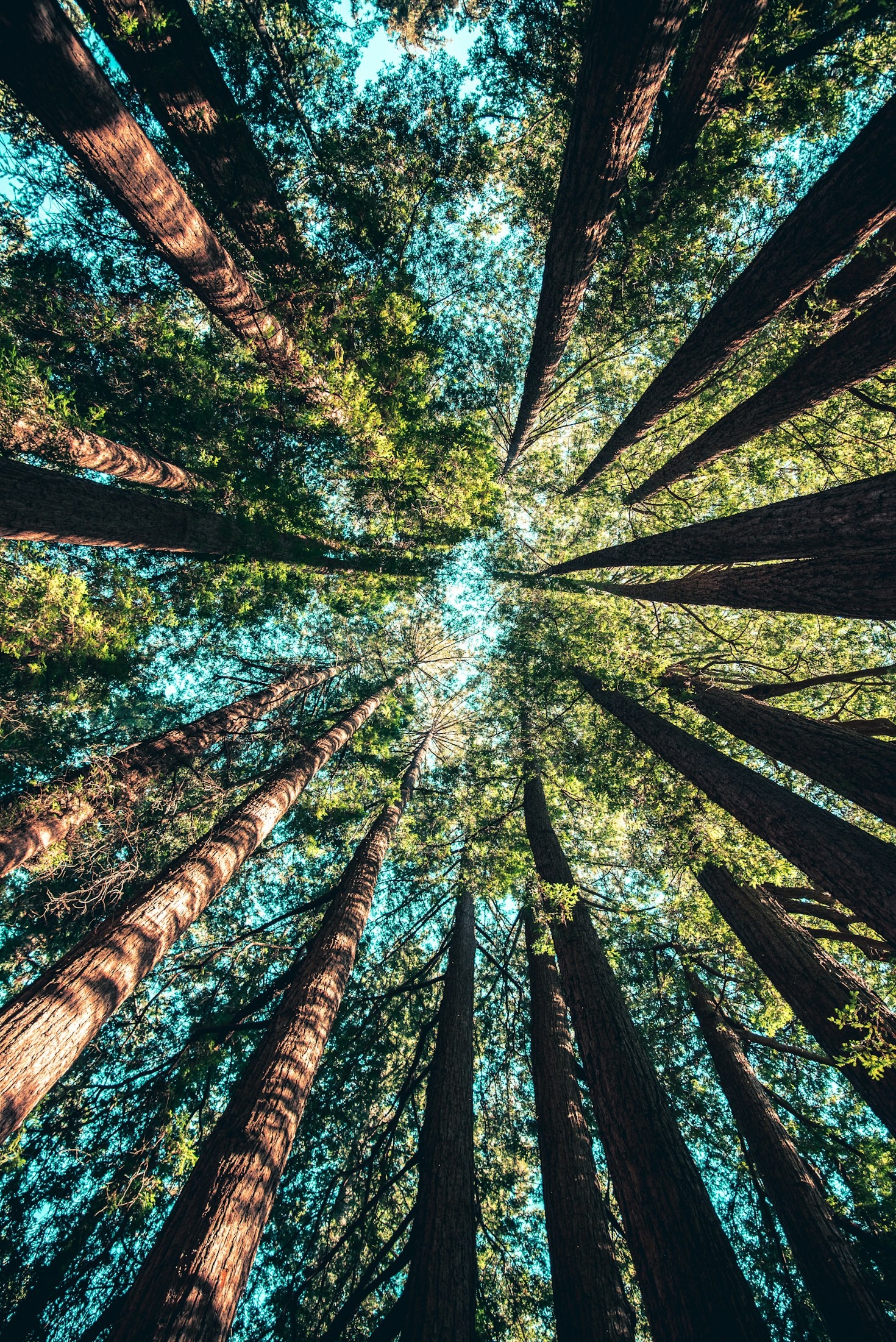 Why Sustainability Should Be a Priority for NGOs