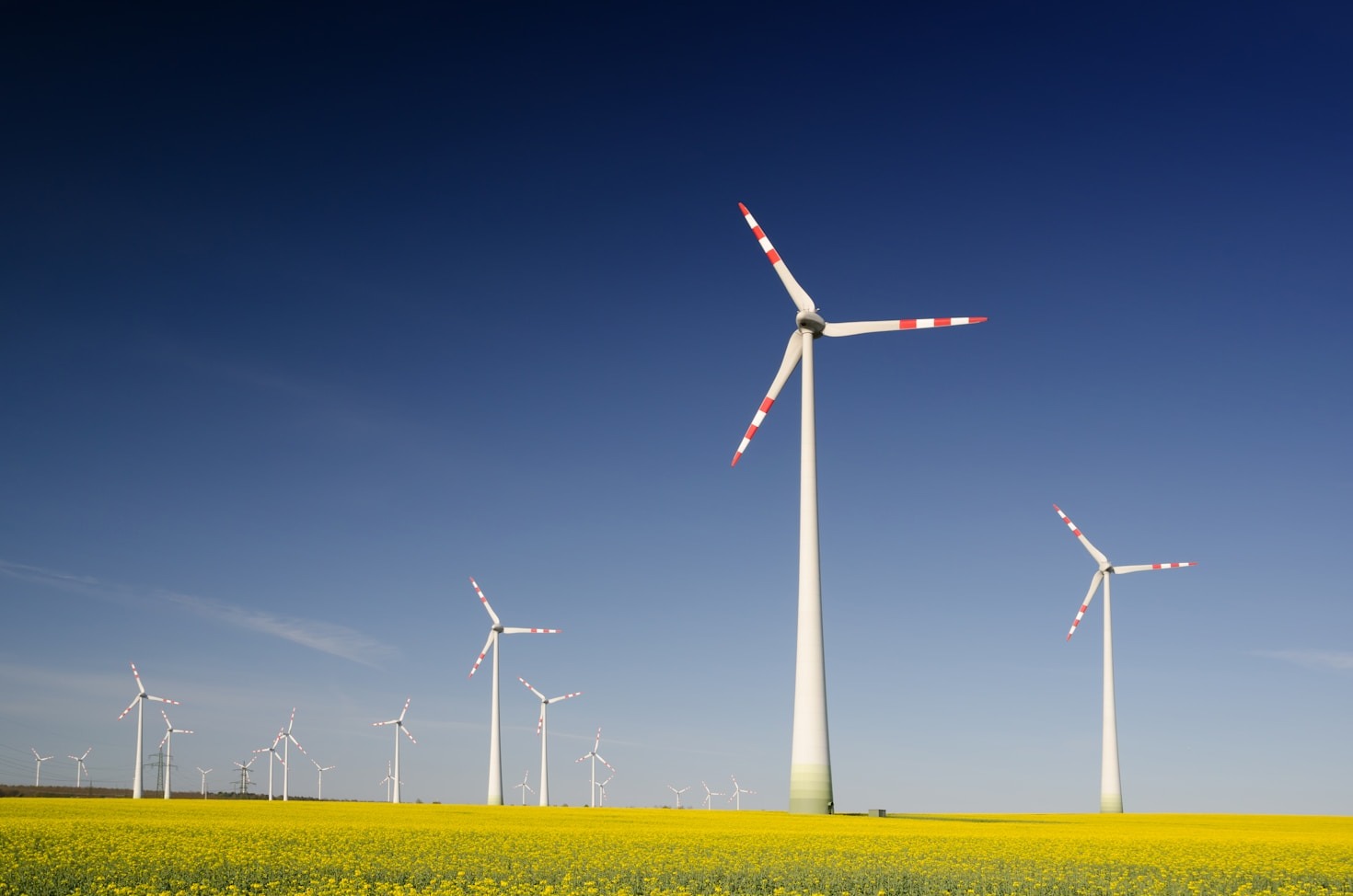 Creating Impact Through Effective Sustainability Talks