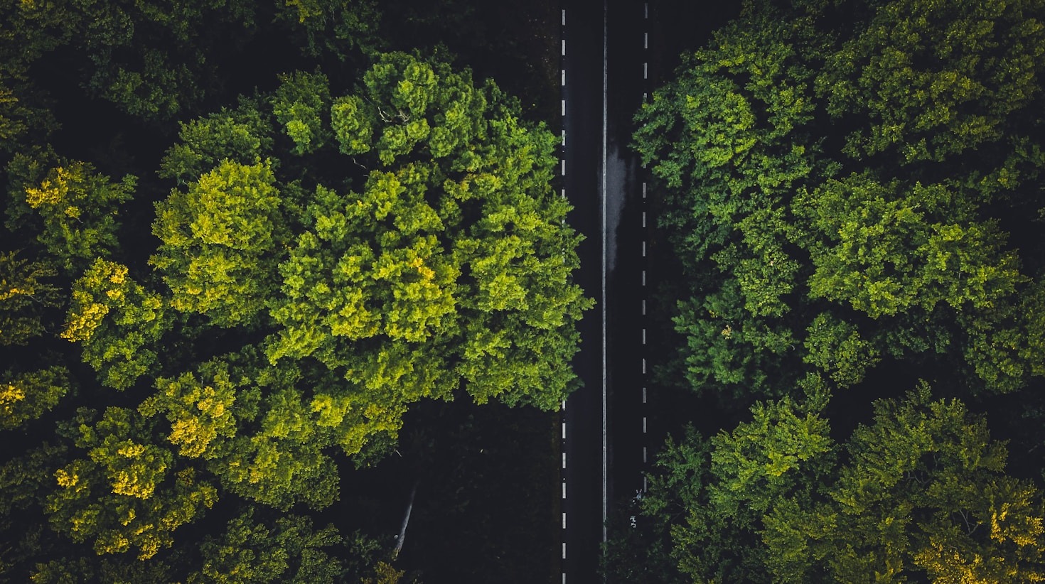 The Future of Sustainable Education for Businesses