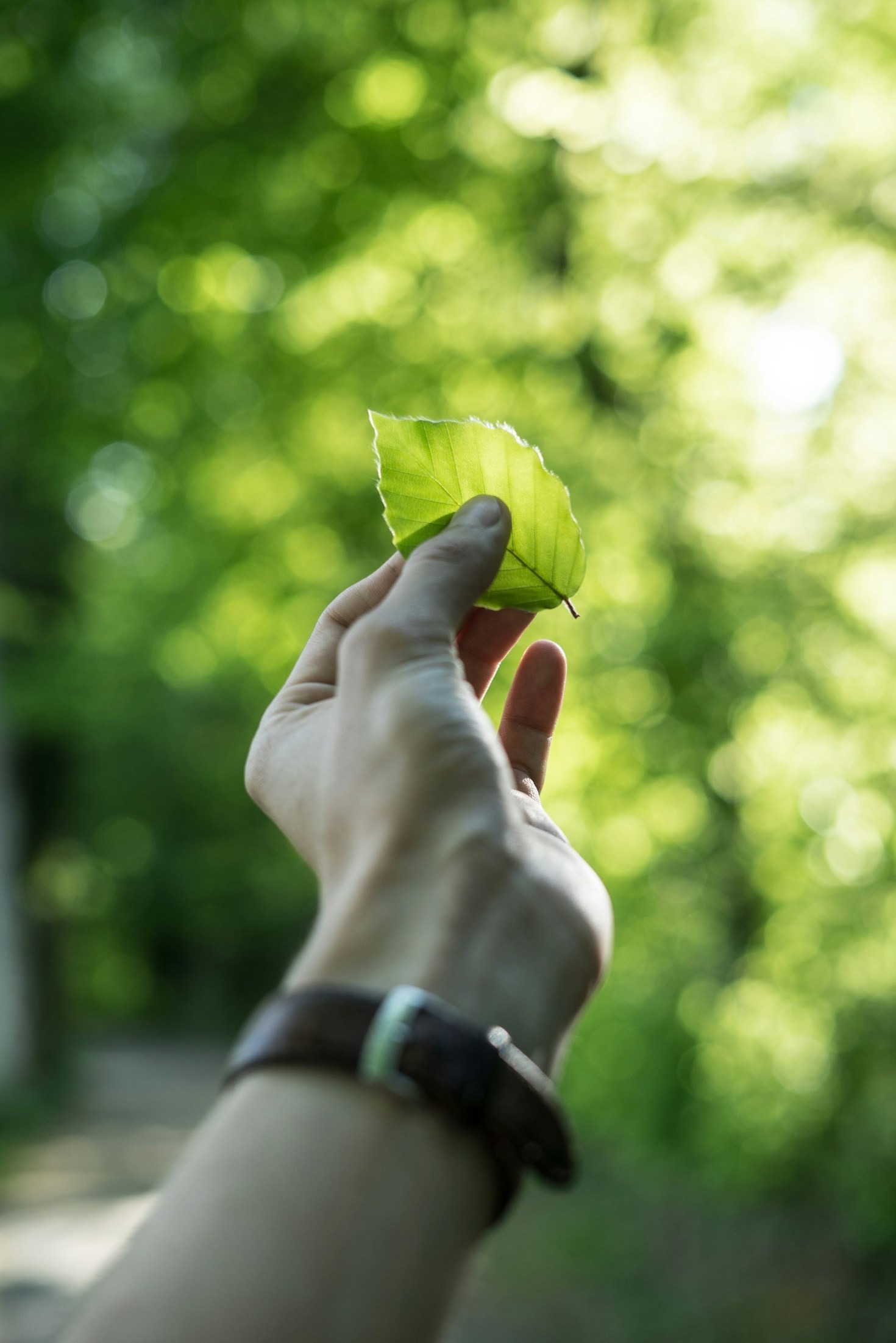Steps to Enhance Your Organization’s Green Initiatives